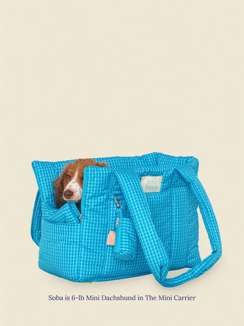 Little Beast The Little Beast Carrier - Ocean Breeze- Mini