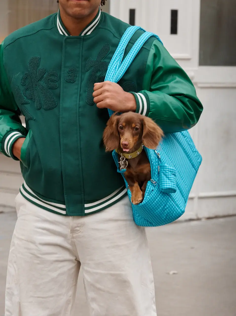Little Beast The Little Beast Carrier - Ocean Breeze- Mini