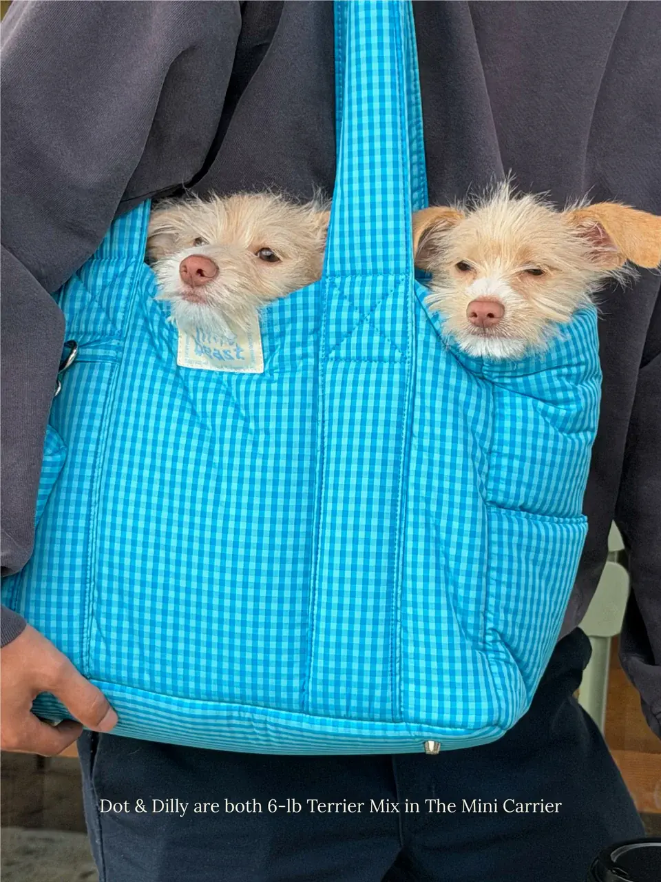 Little Beast The Little Beast Carrier - Ocean Breeze- Mini
