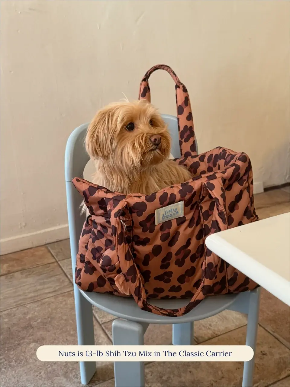 Little Beast Cougar Animal Print Carrier- Animal Print