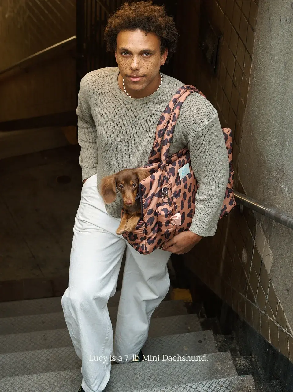 Little Beast Cougar Animal Print Carrier- Animal Print