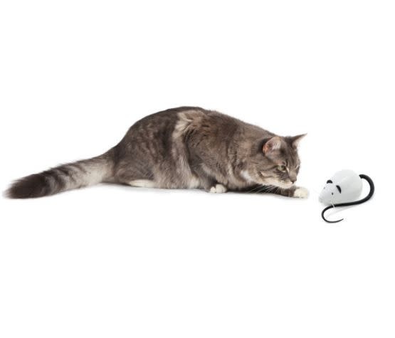Petsafe Rolorat Automatic Cat Teaser