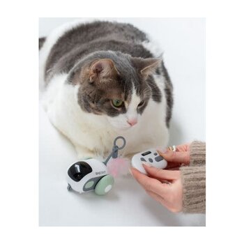 dexypaw Dexypaws Interactive Toy For Cat, Mouse - Sage Green