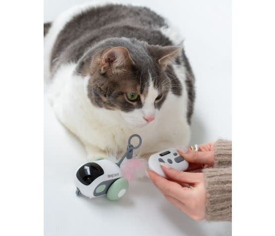 dexypaw Dexypaws Interactive Toy For Cat, Mouse - Sage Green