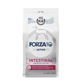 Active Intestinal Dog Food 8.8lb