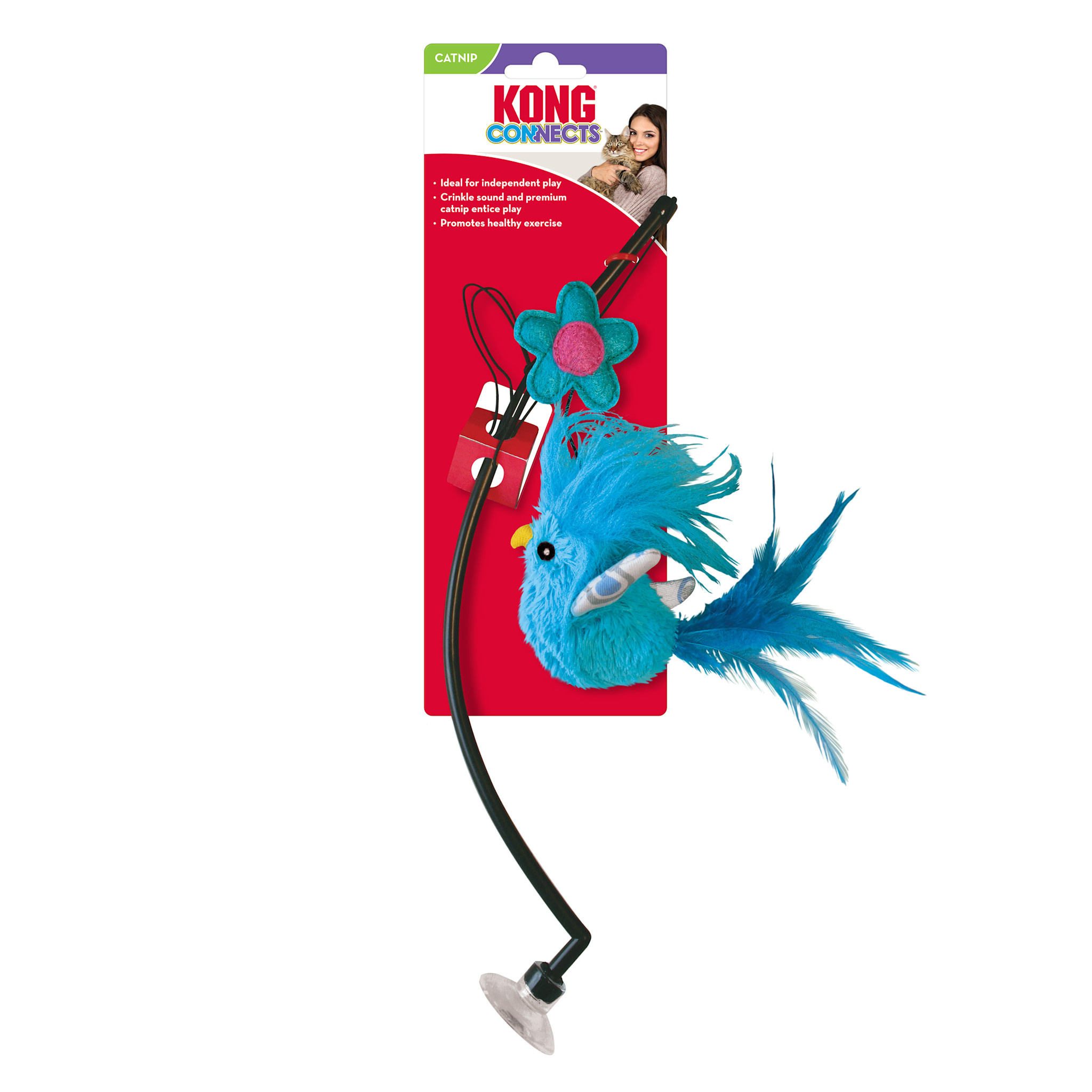 Kong Connects Window Teaser with Catnip