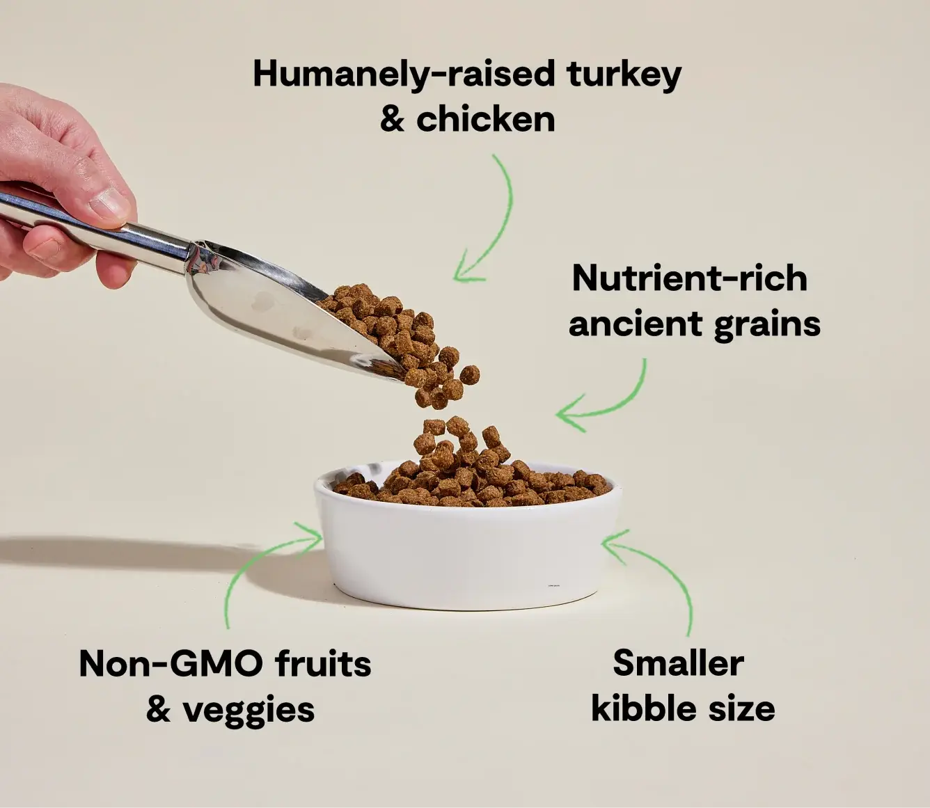 Open Farm Small Breed Chicken & Turkey Ancient Grains Dry Dog Food 11 lb
