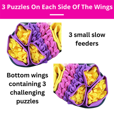 PawzNDogz Radiant Butterfly Snuffle Mat Challenge Level 3