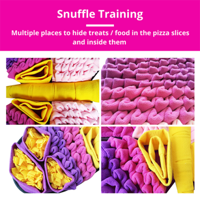 PawzNDogz Radiant Butterfly Snuffle Mat Challenge Level 3
