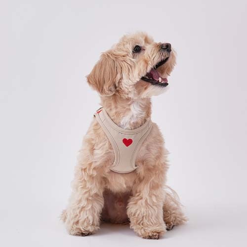 Puppy Gallery Weatherproof Dog Step-in Harness Beige