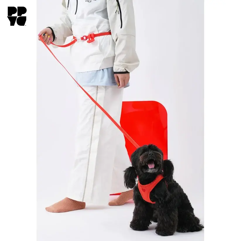 Puppy Gallery PPYG Weatherproof Dog Lead