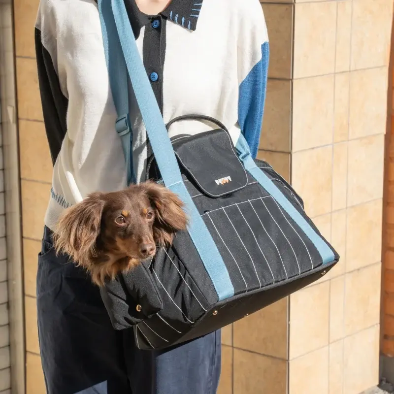 Puppy Gallery Urban Edit Pet Carrier