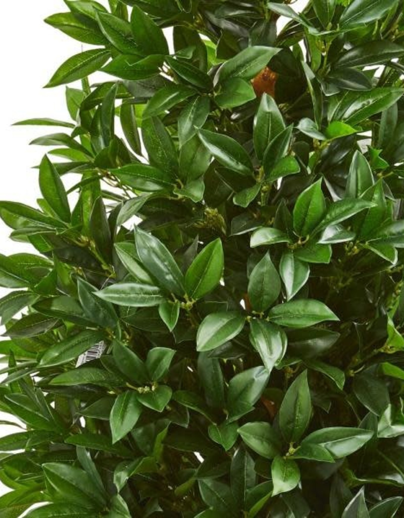 Artificial Bay Leaf Laurel Tree Plants Indoor Outdoor 4ft Height 1 Artificial Tree Bay Leaf Laurel Tree Weatherproof imitation foliage Suitable for outdoors
