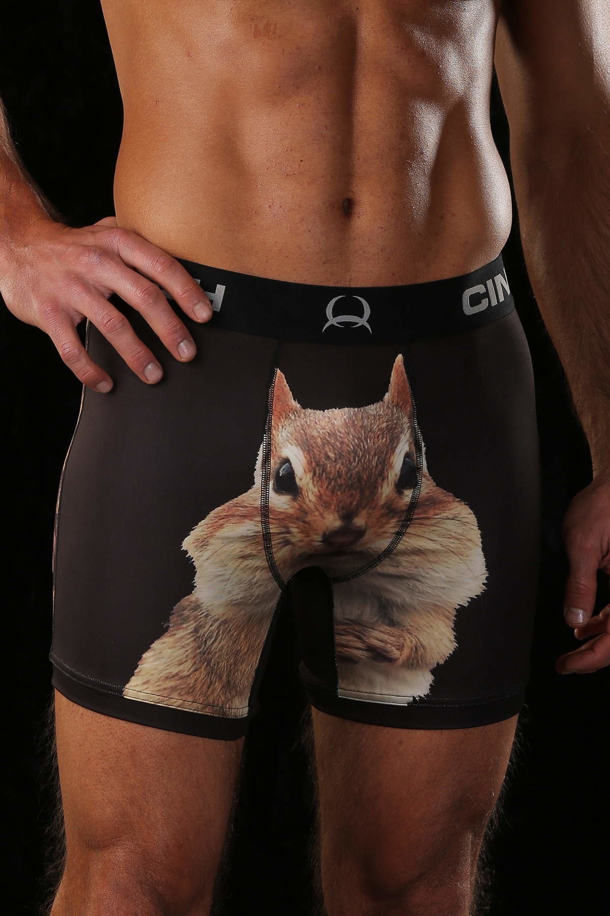 Mens Cinch Boxer Brief Underwear 6 Squirrel