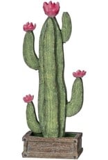 Cactus Table Top
