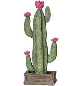 Cactus Table Top