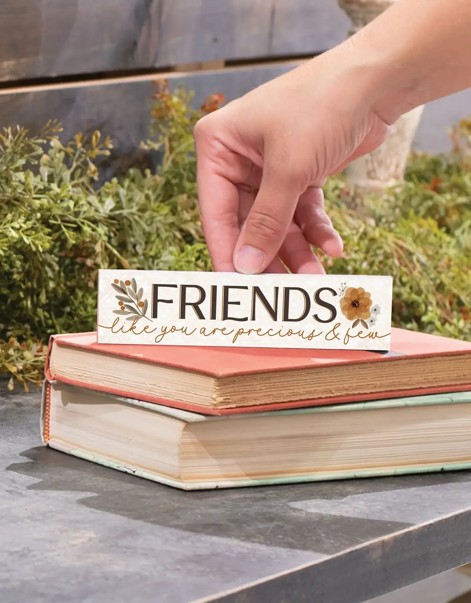 Friends Like You Are Precious And Few Wooden Sign