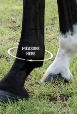 Iconoclast Front Orthopedic Support Boots for Horses