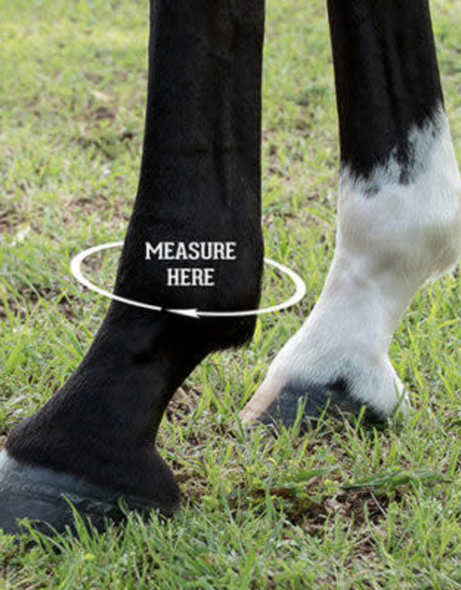 Iconoclast Front Orthopedic Support Boots for Horses