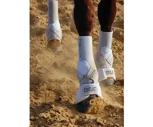 Guêtres Orthopédiques Avant Cheval Iconoclast Medium - Support Complet - Bleues