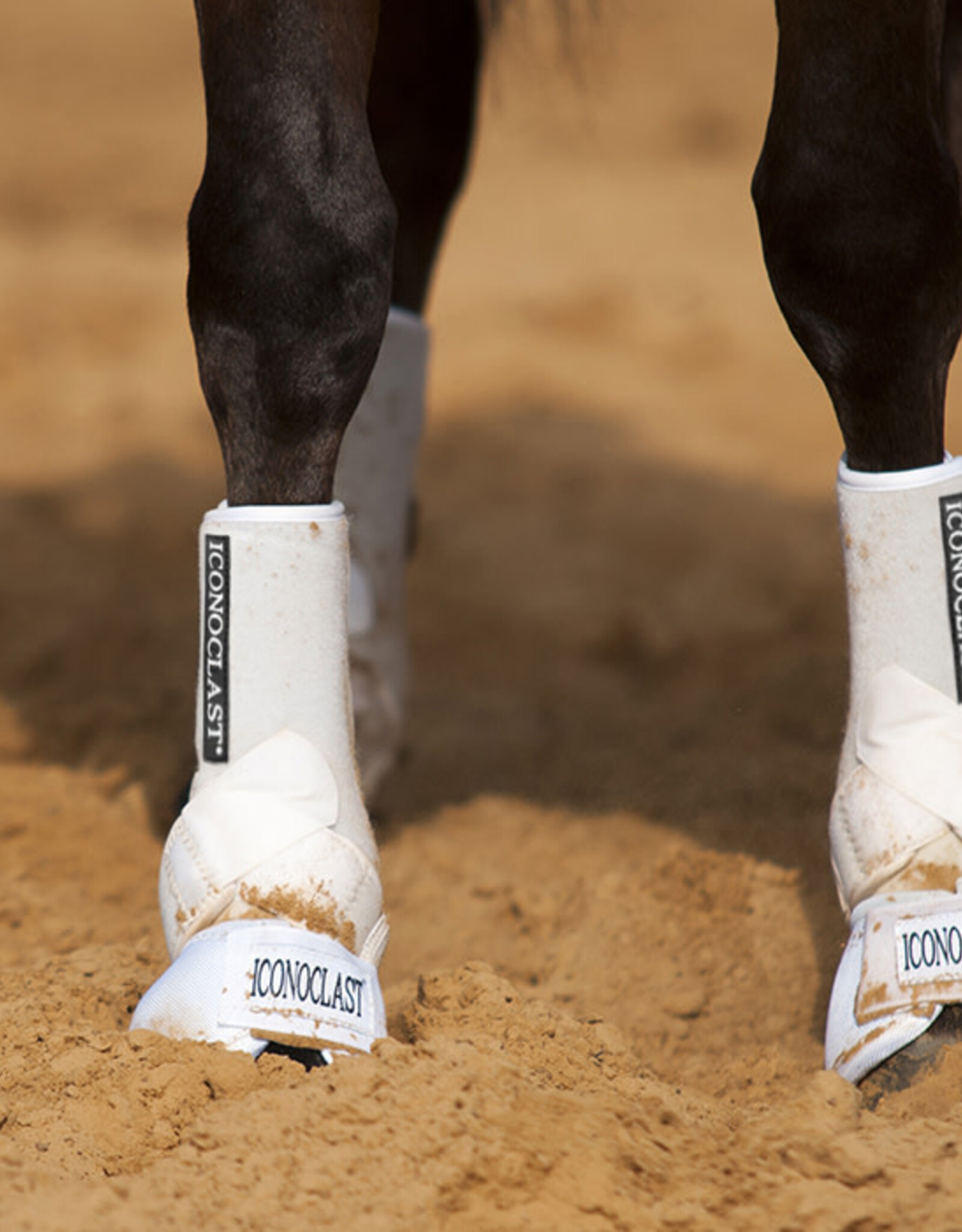 Iconoclast Hind Orthopedic Support Boots For Horses