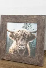 Summer Snow Art Highland Cow Headshot 8X8 Framed Picture