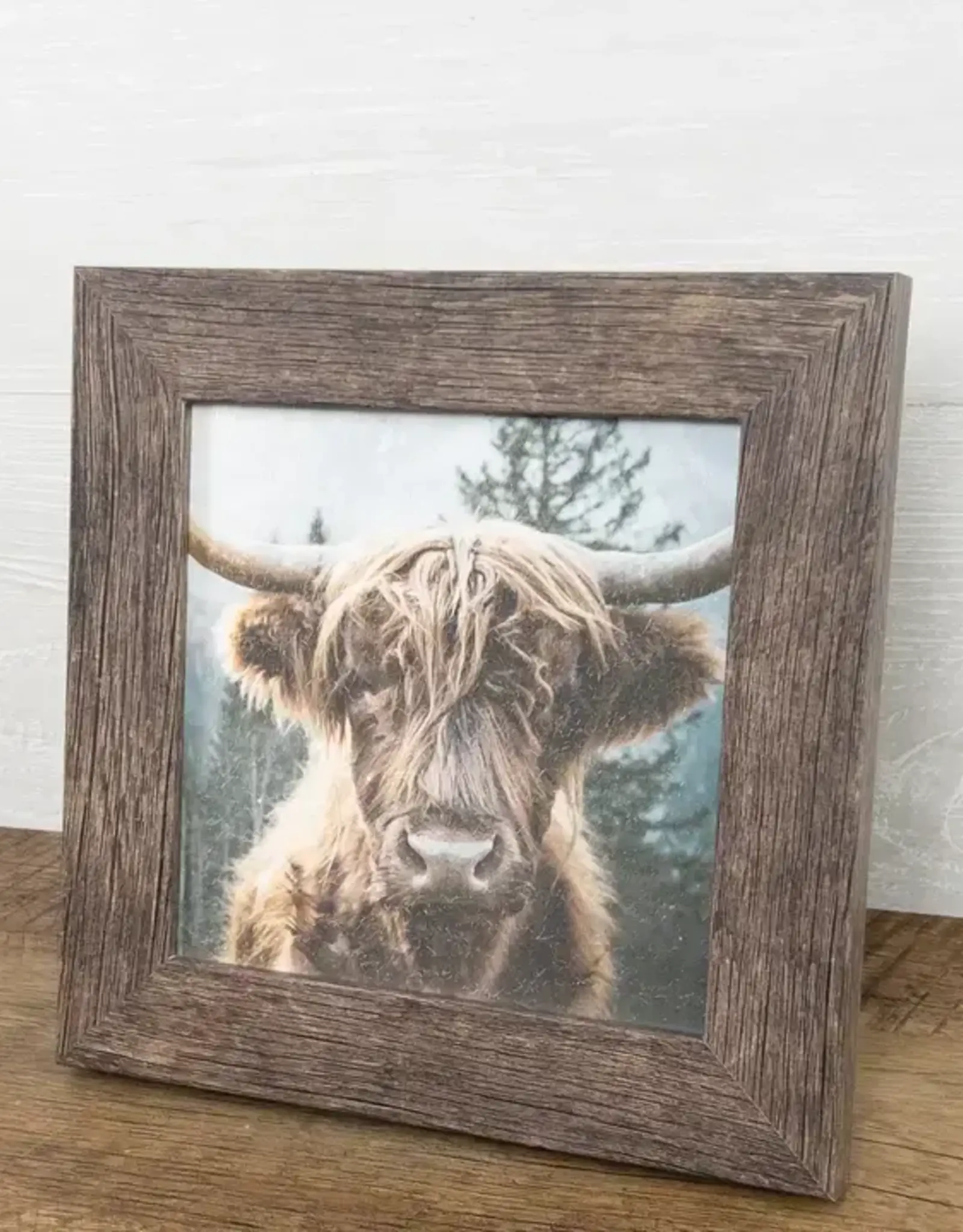 Summer Snow Art Highland Cow Headshot 8X8 Framed Picture