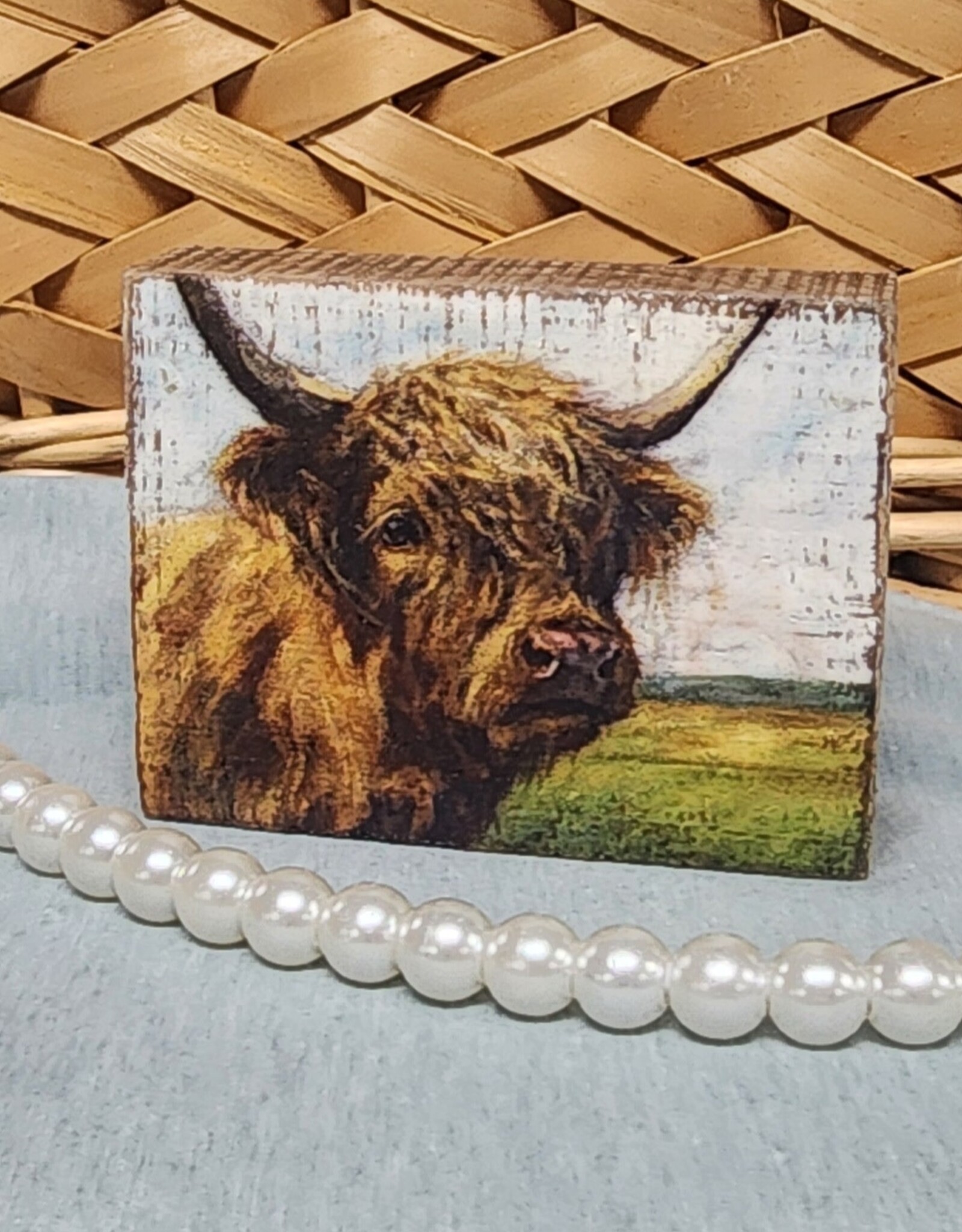Primatives By Kathy Highland Cow Wooden Block Sign