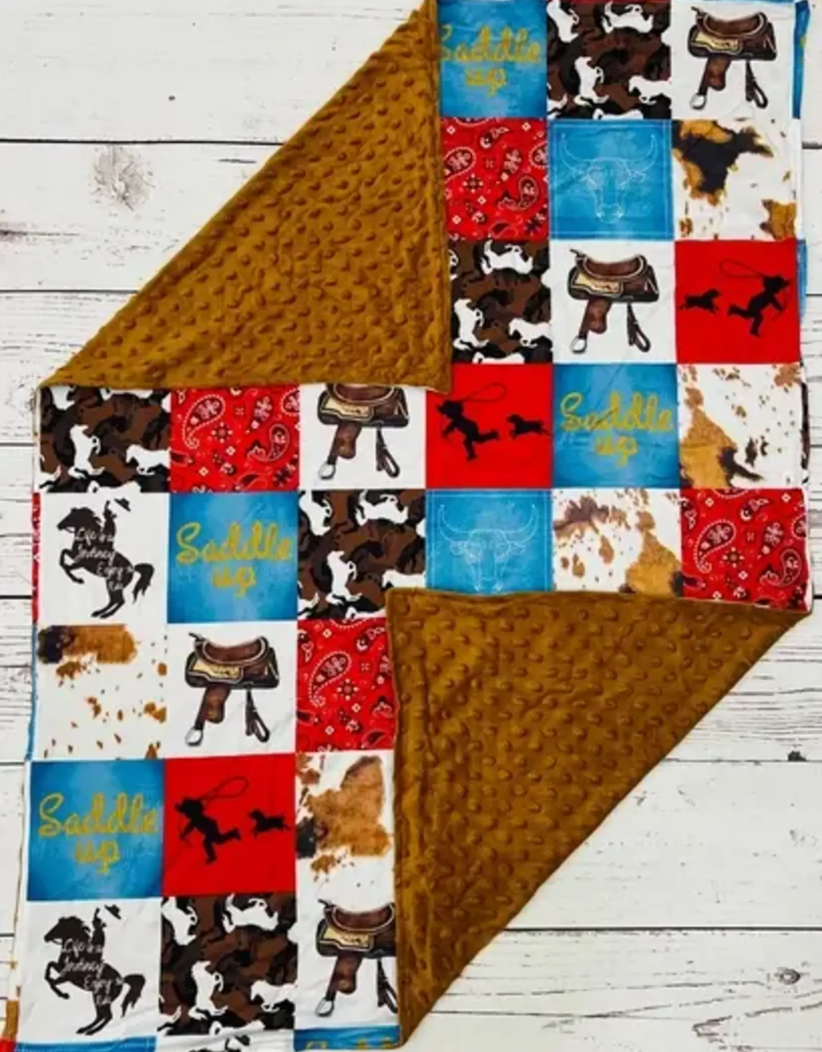 Sassy Kids Palace Enjoy The Ride Minky Baby Blanket 29" x 43"