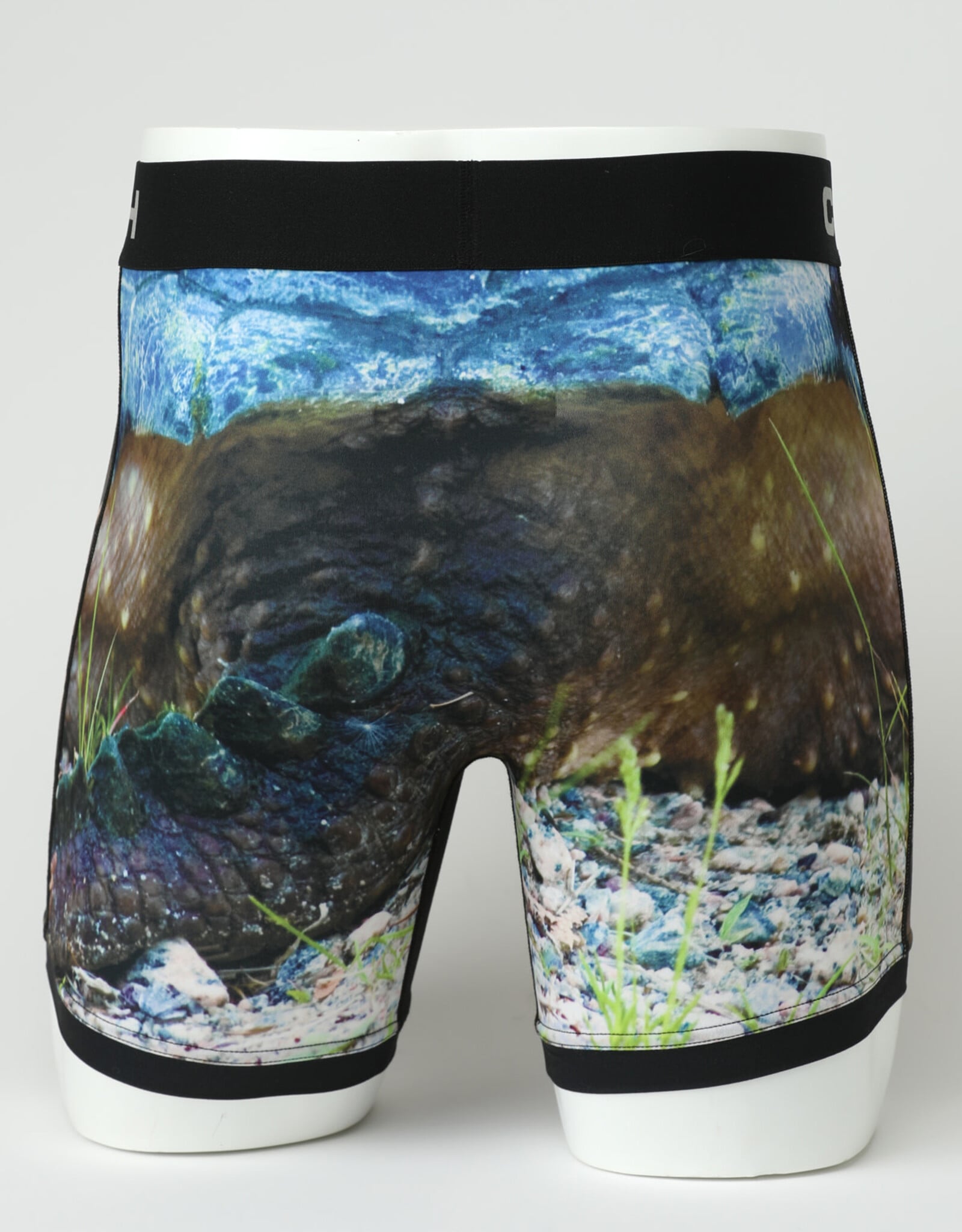 Cinch Mens Cinch Boxer Briefs  6" Snapping Turtle