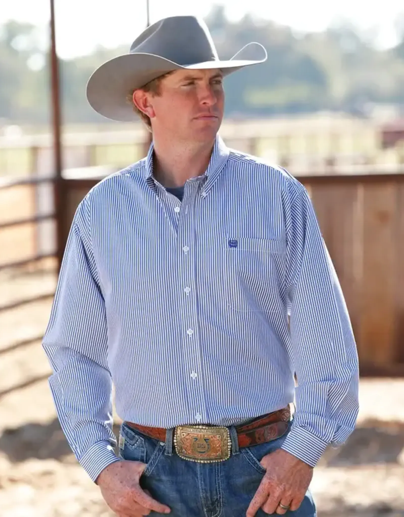 Cinch Mens Cinch Long Sleeve Royal Stripe Tencel Button Western Arena Shirt