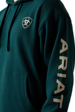 Ariat Mens Ariat Sea Moss Green Logo Pullover Hoodie