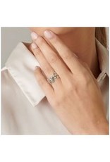 Feather in a Breeze Ring