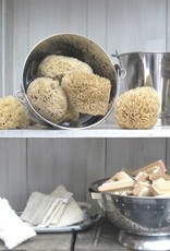 Barr-Co Sea Wool Sponge