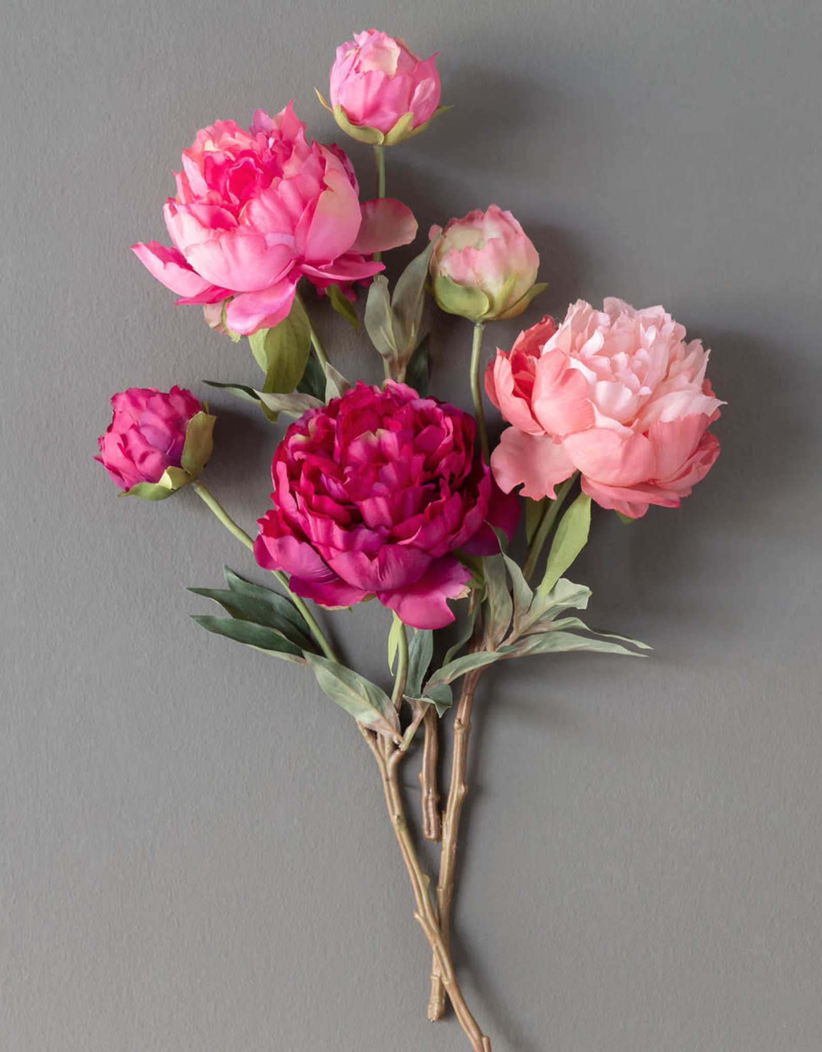 Park Hill Collection Summer Peony, Pink Cerise Mix, 3 Assorted Colors