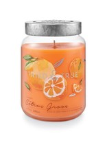 Illume Tried & True Candles