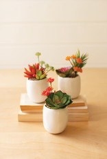 Kalalou Artificial Succulent Plants in a White Ceramic Pot (set of 3)