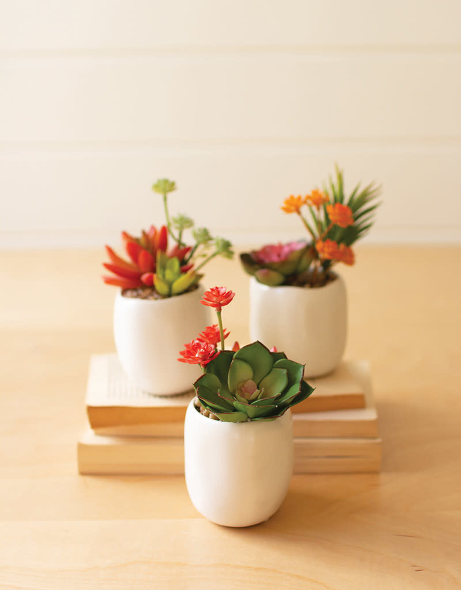 Kalalou Artificial Succulent Plants in a White Ceramic Pot (set of 3)