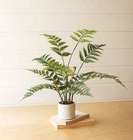 Kalalou Artificial Fern in Cement Pot