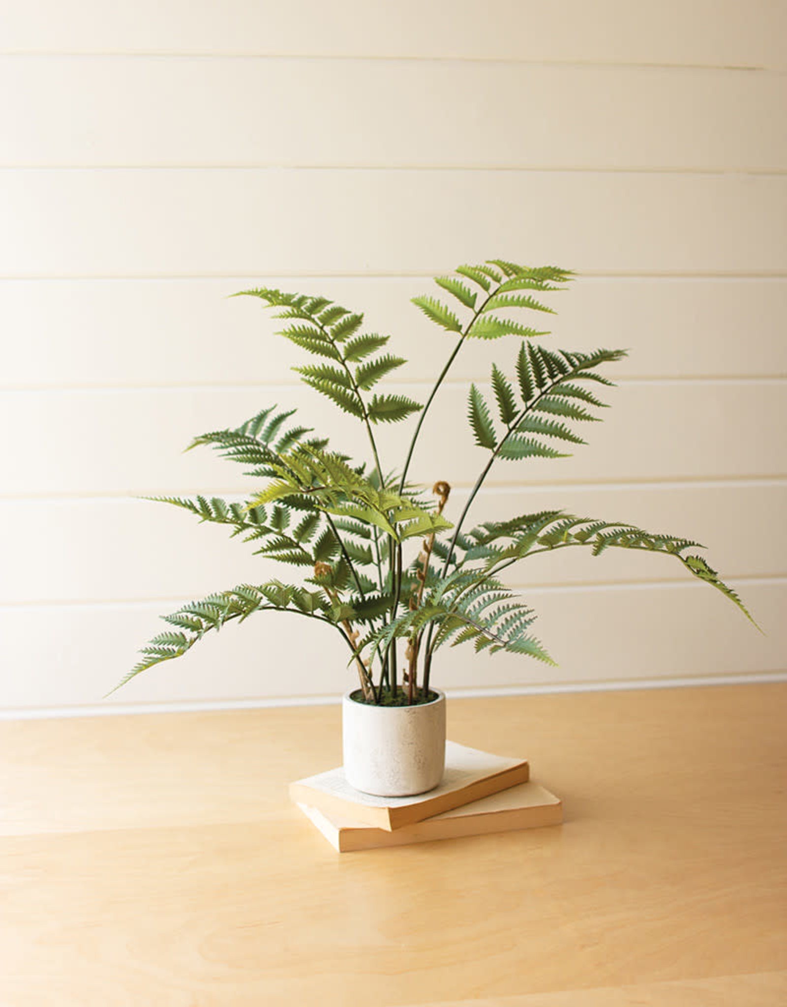 Kalalou Artificial Fern in Cement Pot