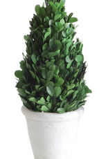Creative Co-Op Preserved Boxwood Cone Topiary in Pot