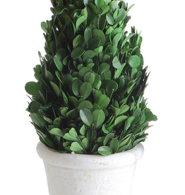 Creative Co-Op Preserved Boxwood Cone Topiary in Pot