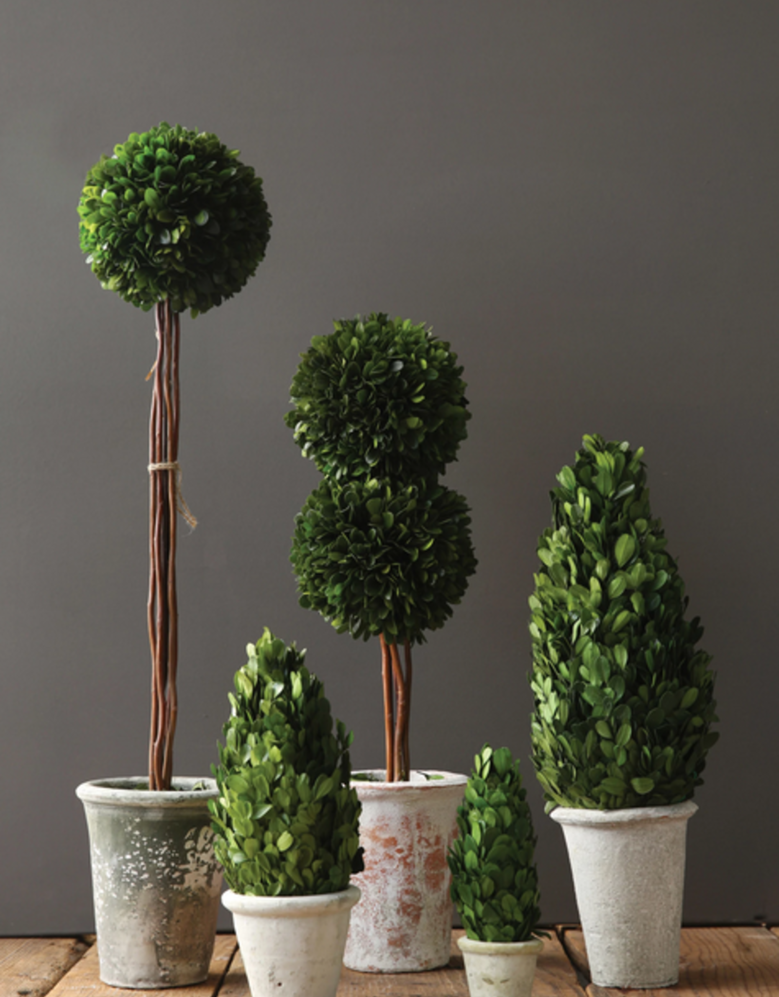 Creative Co-Op Preserved Boxwood Cone Topiary in Pot