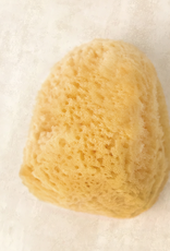 Cosmetic Silk Sea Sponge