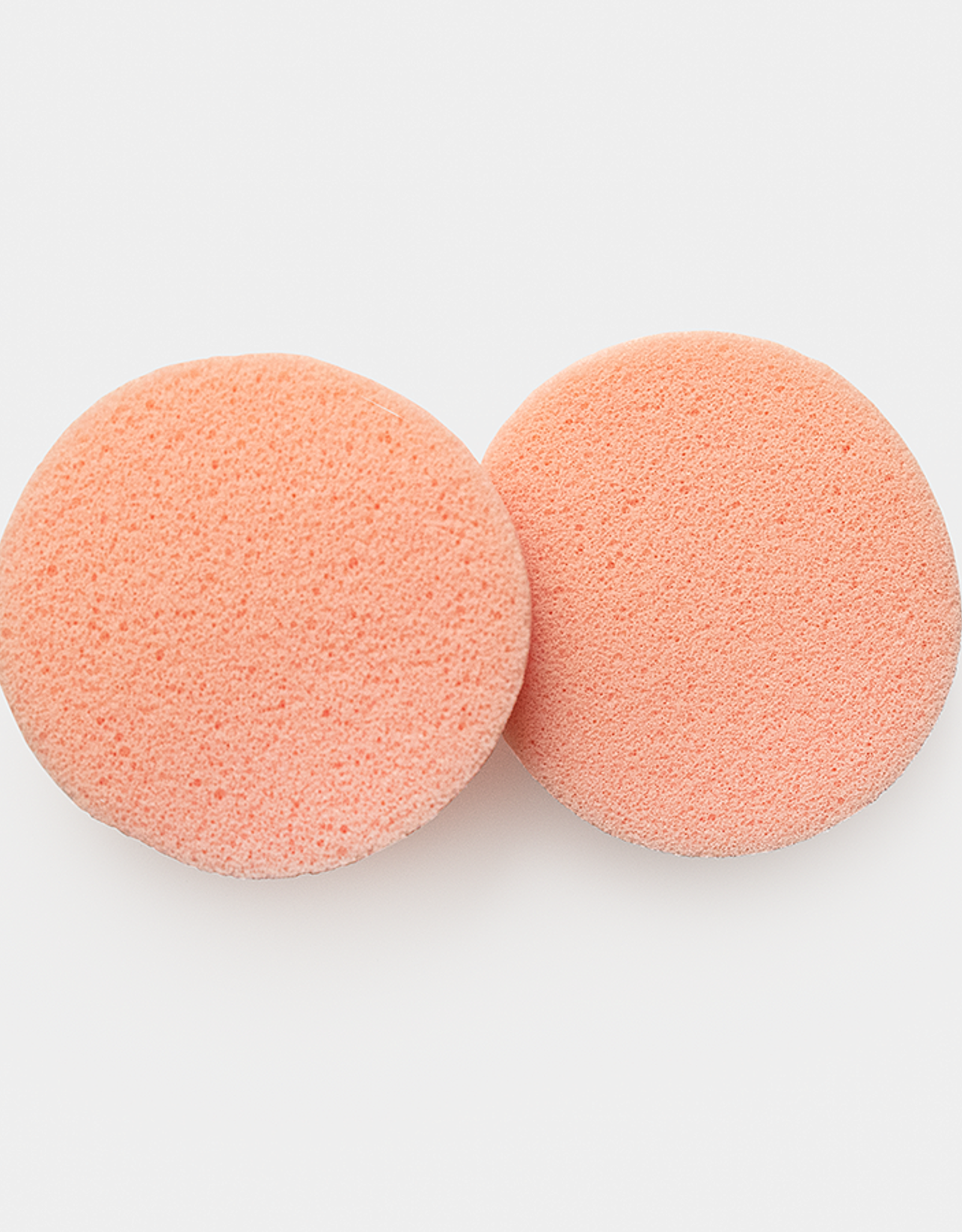 Garment Deodorant Remover Sponges | Two Pack