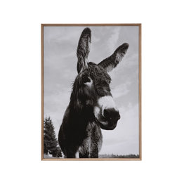 Framed Canvas Wall Decor with Donkey Photo