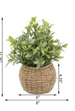 Flora Bunda Inc Tea Leaf in 6" Basket