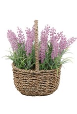 Flora Bunda Inc Lavender in Basket 9.5"H