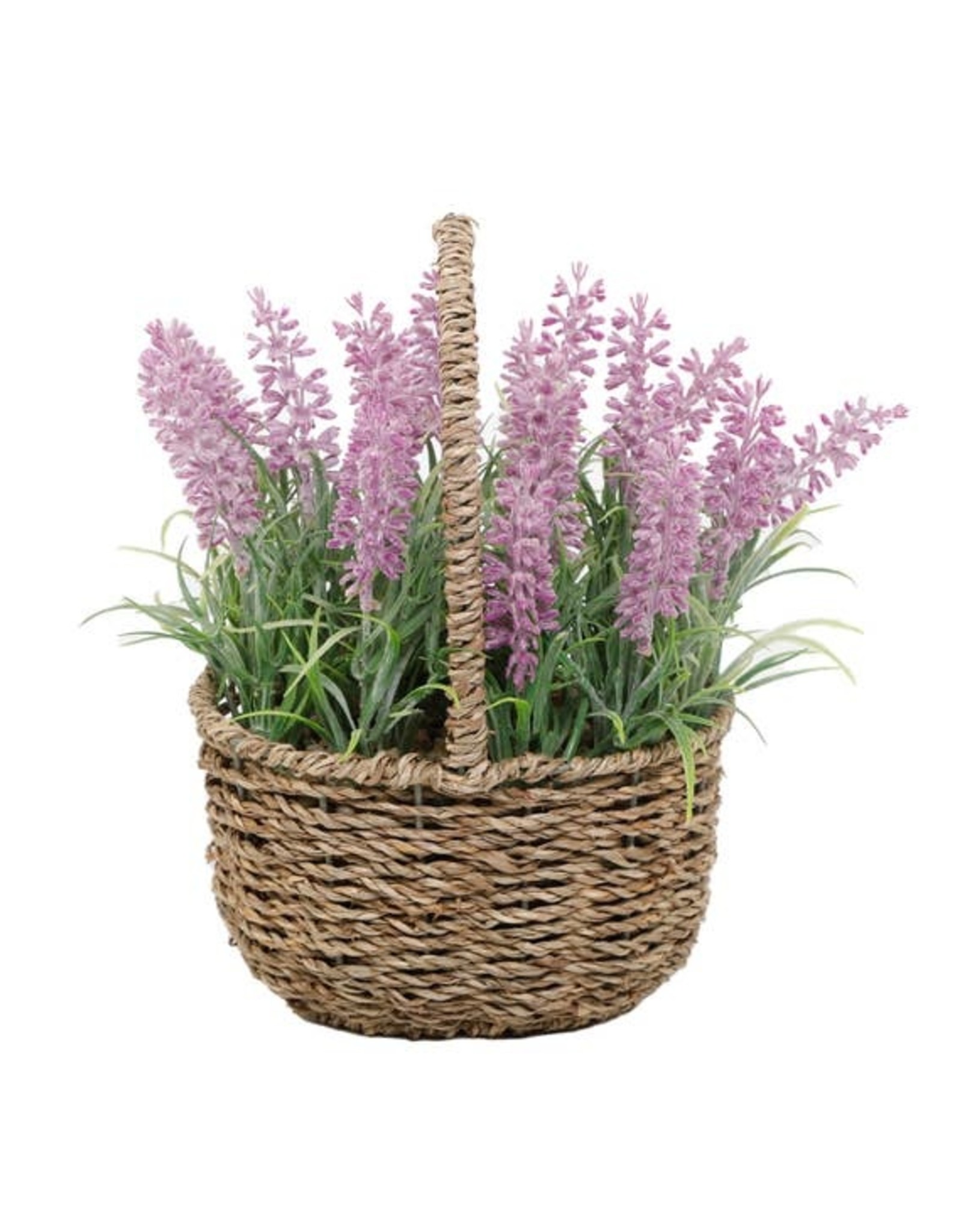 Flora Bunda Inc Lavender in Basket 9.5"H