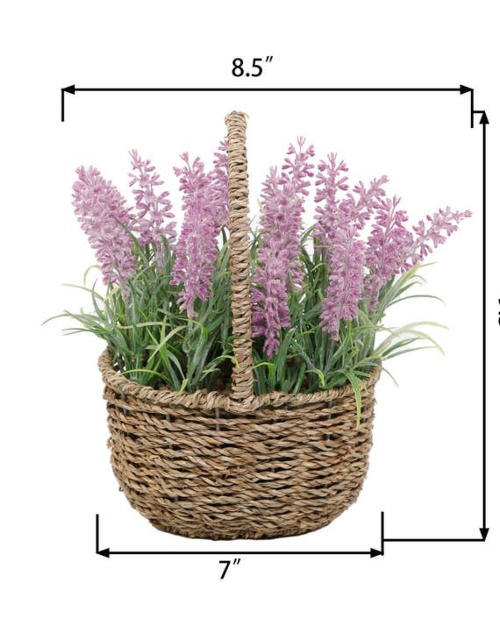Flora Bunda Inc Lavender in Basket 9.5"H